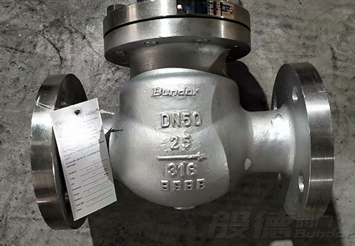 般德不銹鋼截止閥、旋啟式止回閥出口南非