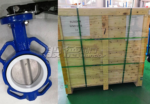 般德對夾蝶閥、蝶式止回閥出口阿根廷