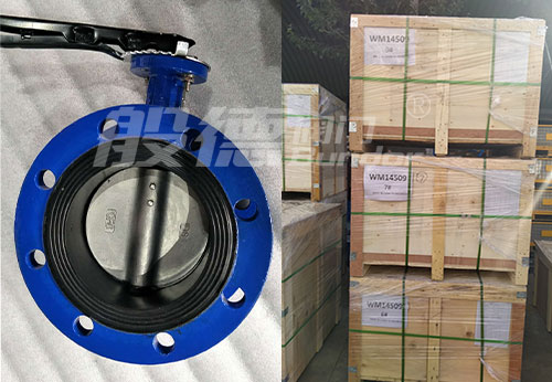 般德蝶閥、止回閥產(chǎn)品出口印度尼西亞