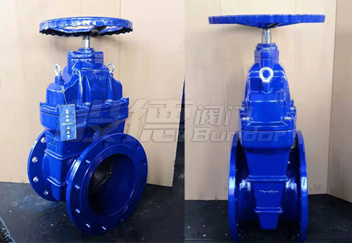 般德閘閥、過濾器、橡膠接頭等產(chǎn)品出口南非