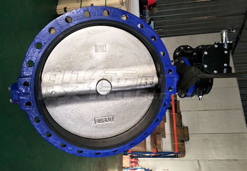 般德大口徑DN800軟密封蝶閥出口南非