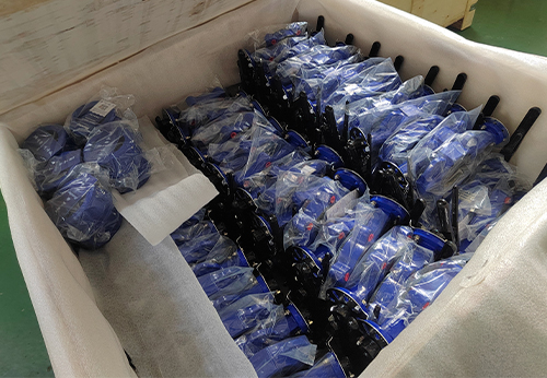 般德蝶閥、蝶式止回閥等產(chǎn)品出口澳大利亞